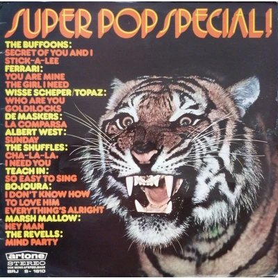 Afbeelding van Special 70&#039;s Super Pop Session
