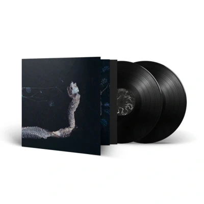 Afbeelding van Tenhi Maaaet (LP)