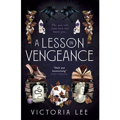 Afbeelding van A Lesson in Vengeance