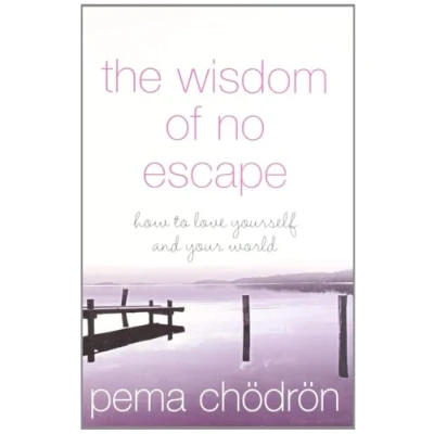 Afbeelding van The Wisdom of No Escape: How to Love Yourself and Your World