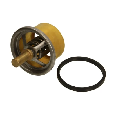 Afbeelding van Thermotec Thermostaat D2DA004TT