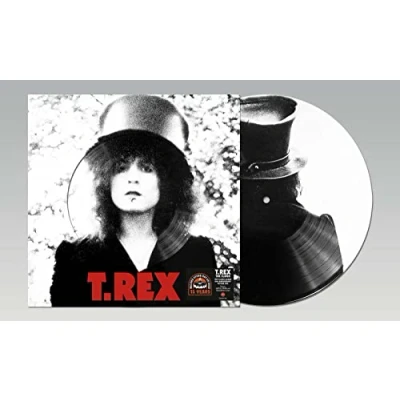 Afbeelding van T. Rex Slider (LP)