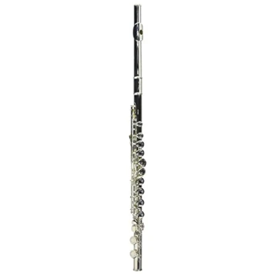 Afbeelding van Stagg WS FL211S dwarsfluit