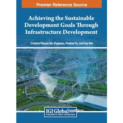 Afbeelding van Achieving the Sustainable Development Goals Through Infrastructure