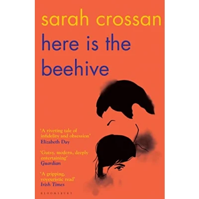Afbeelding van Here is the Beehive: Shortlisted for Popular Fiction Book of Year in AN Post Irish Awards
