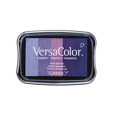 Afbeelding van RAYHER Stempelkussen Versacolor, 5 kleuren &quot;paarse tonen&quot;, 4,7x7,5cm