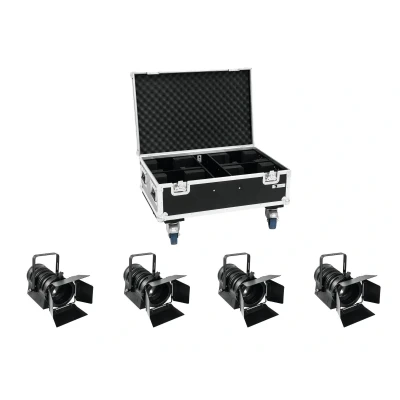 Afbeelding van EUROLITE Set 4x LED THA 60PC + Case