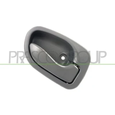 Afbeelding van Handgreep, interieur PRASCO HN3208401