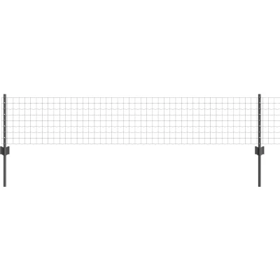 Afbeelding van vidaXL Euro Hek Set van 2 Grijs PVC gecoat staal 10 x 0.4 m