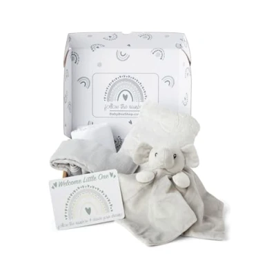 Afbeelding van baby Box Shop 5 essentials, ideaal als babyshower en doopgeschenk voor baby&#039;s, uniseks, babydeken met olifant, fleecedeken, 2 mousselinedoeken
