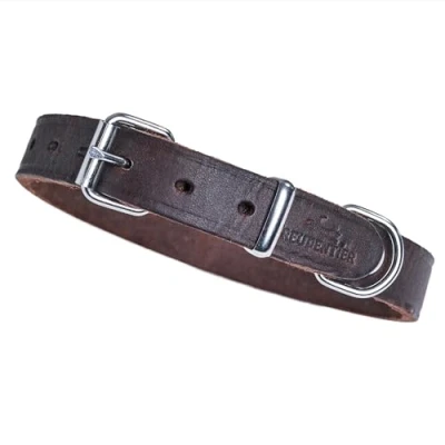 Afbeelding van Hondenhalsband vet leer (chocolade, 20,5 27 cm halsomtrek)
