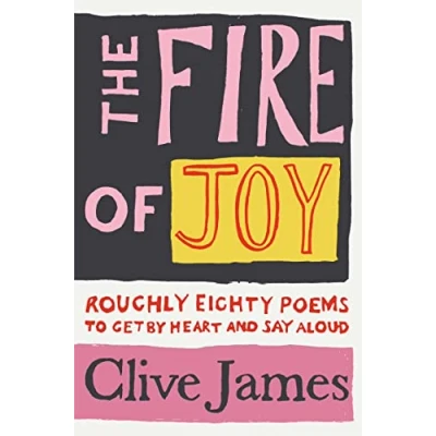 Afbeelding van The Fire of Joy