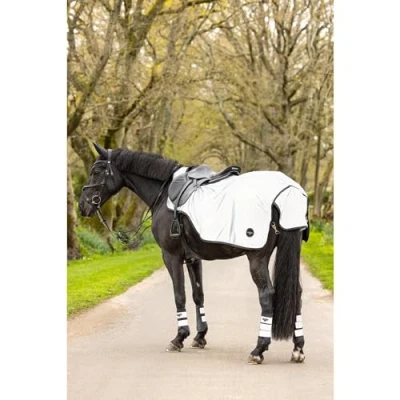 Afbeelding van LeMieux Deken Exercise Reflectie Blauw S