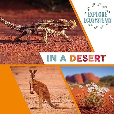 Afbeelding van Explore Ecosystems: In a Desert