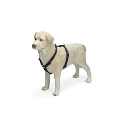 Afbeelding van Karlie Art Sportiv Plus tuigje nieuwe universele kleuren mix en match B: 10 mm bruto : 25 40 cm XS zwart