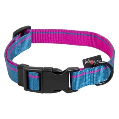 Afbeelding van Jack and Vanilla Hondenhalsband Blauw roze Nylon met kliksluiting Stripe L 31 t/m 47 cm