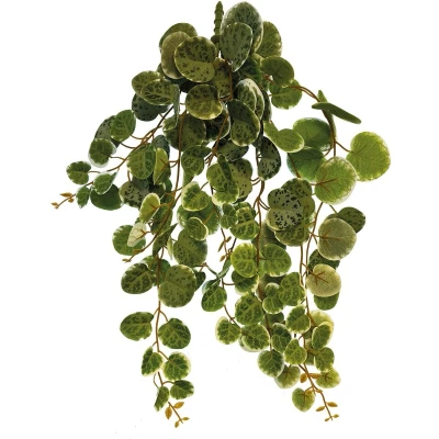 Afbeelding van Repto Plant Hanging Round Leaves 46CM