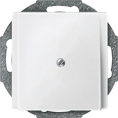 Afbeelding van Merten 295619 Afdekking System M Polar wit