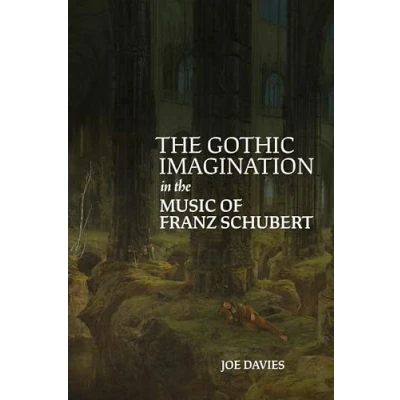 Afbeelding van the Gothic Imagination in Music of Franz Schubert