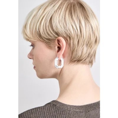 Afbeelding van Swarovski dames Lucent oorringen met kristal in de kleur Zilver