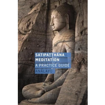 Afbeelding van Satipatthana Meditation: A Practice Guide