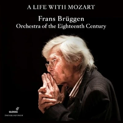 Afbeelding van Orchestra Of The 18th Century, Frans Brüggen A Life With Mozart. Complete Glossa Recordings (9 CD)