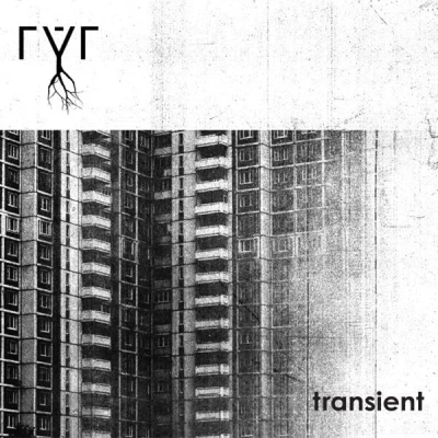 Afbeelding van Ryr Transient (LP)