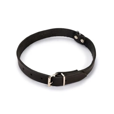 Afbeelding van Karlie rondo halsband geklonken zwart 62 cm lang en 25mm breed