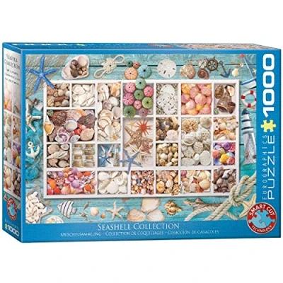 Afbeelding van Eurographics puzzel Seashell Collection 1000 stukjes