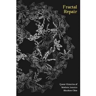 Afbeelding van Fractal Repair: Queer Histories of Modern Jamaica