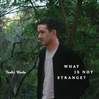 Afbeelding van Tashi Wada What is Not Strange? (2 LPs)