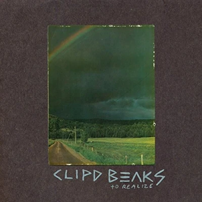 Afbeelding van Clipd Beaks To Realize