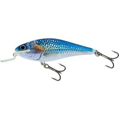 Afbeelding van Salmo Floating Executor (5cm 5g) Size : Holo Shiner