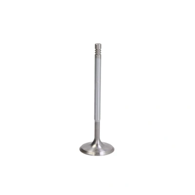 Afbeelding van Inlaatklep FRECCIA R6703/SARCR