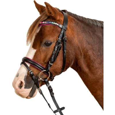 Afbeelding van Star Trenshoofdstel Pinky Engels Combi Zwart Mini Shet