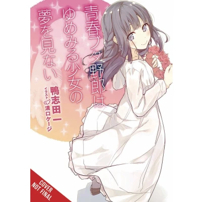 Afbeelding van RASCAL DOES NOT DREAM OF DREAMING GIRL LIGHT NOVEL: Volume 6