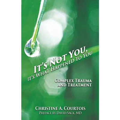 Afbeelding van It&#039;s Not You, What Happened to You: Complex Trauma and Treatment