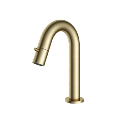 Afbeelding van HotBath Dude Fonteinkraan opbouw u uitloop 11.8cm Geborsteld messing