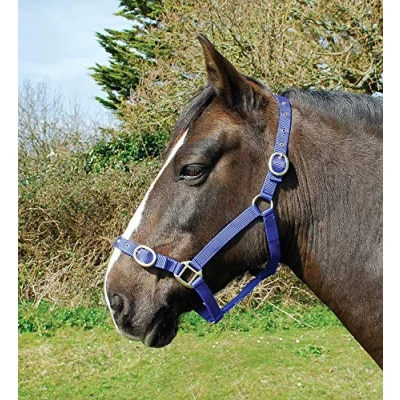 Afbeelding van Rhinegold Nylon Halster Pony Royal Blue