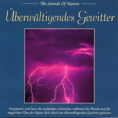 Afbeelding van Dazzling Thunderstorm