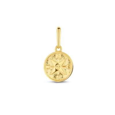 Afbeelding van goud (geelgoud) hanger kompas 4026076