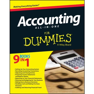 Afbeelding van Accounting All in One For Dummies