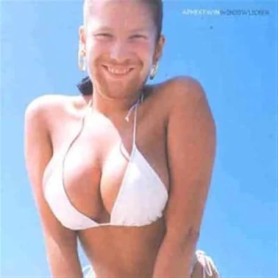 Afbeelding van Windowlicker