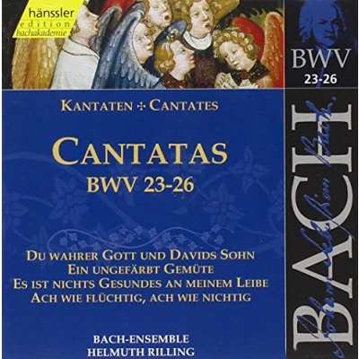 Afbeelding van Bach Ensemble, Helmuth Rilling J.S. Bach: Cantatas Bwv 23 26 (CD)
