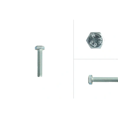 Afbeelding van Tapbouten Verzinkt M8 x 40 mm 10 stuks