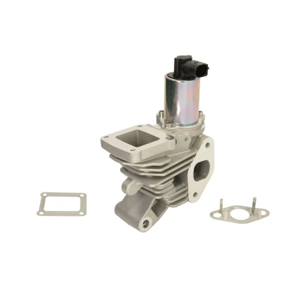 Afbeelding van EGR klep MAGNETI MARELLI 571822112044