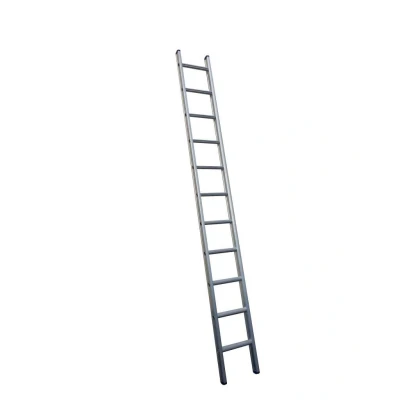 Afbeelding van Little Jumbo SuperPRO Enkele Rechte Ladder 1x24 Sporten (blank aluminium)