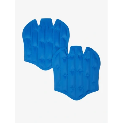 Afbeelding van LeMieux ProIce Inserts
