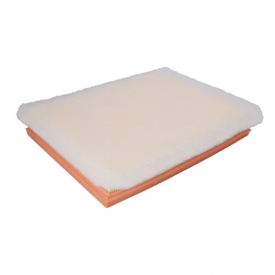 Afbeelding van Mann filter Luchtfilter C 30 138