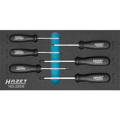 Afbeelding van Hazet 163 225/6 gereedschapsset